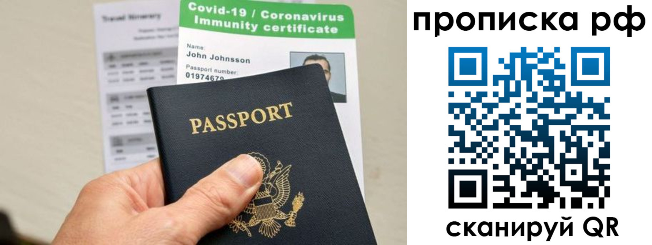 прописка в Ермолино